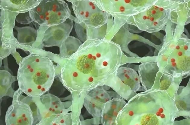 1532048942216612gmB4.png 圖片76.png