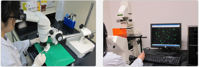 15320505664527408mzj.png 圖片152.png