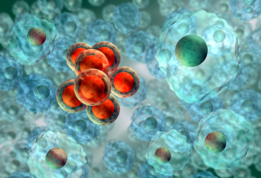 1532050591373554Vskj.png 圖片156.png