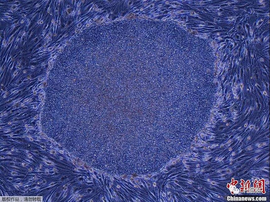 1555641789266736kyj7.jpg 微信圖片_20190419104242.jpg