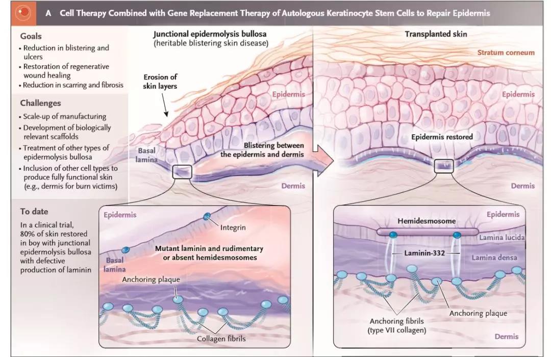 1557363119159821GtPl.jpg 微信圖片_20190509085015.jpg