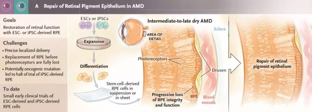 1557363399816762deF4.jpg 微信圖片_20190509084916.jpg