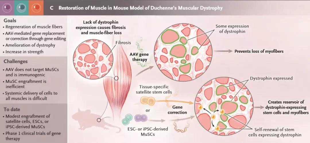 1557363483174096MZ3S.jpg 微信圖片_20190509085753.jpg
